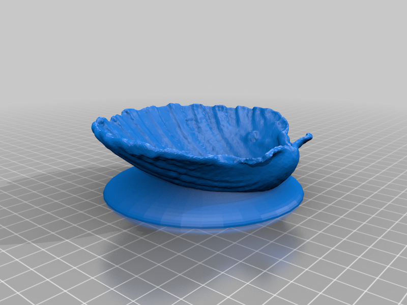 Sea Shell with base