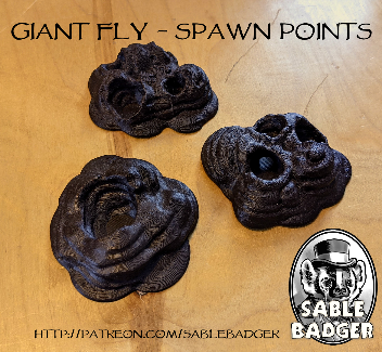 Rangers of Shadow Deep - Giant Fly Spawn Point