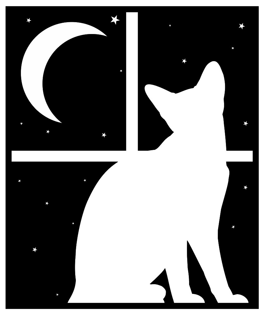 2D Cat at night