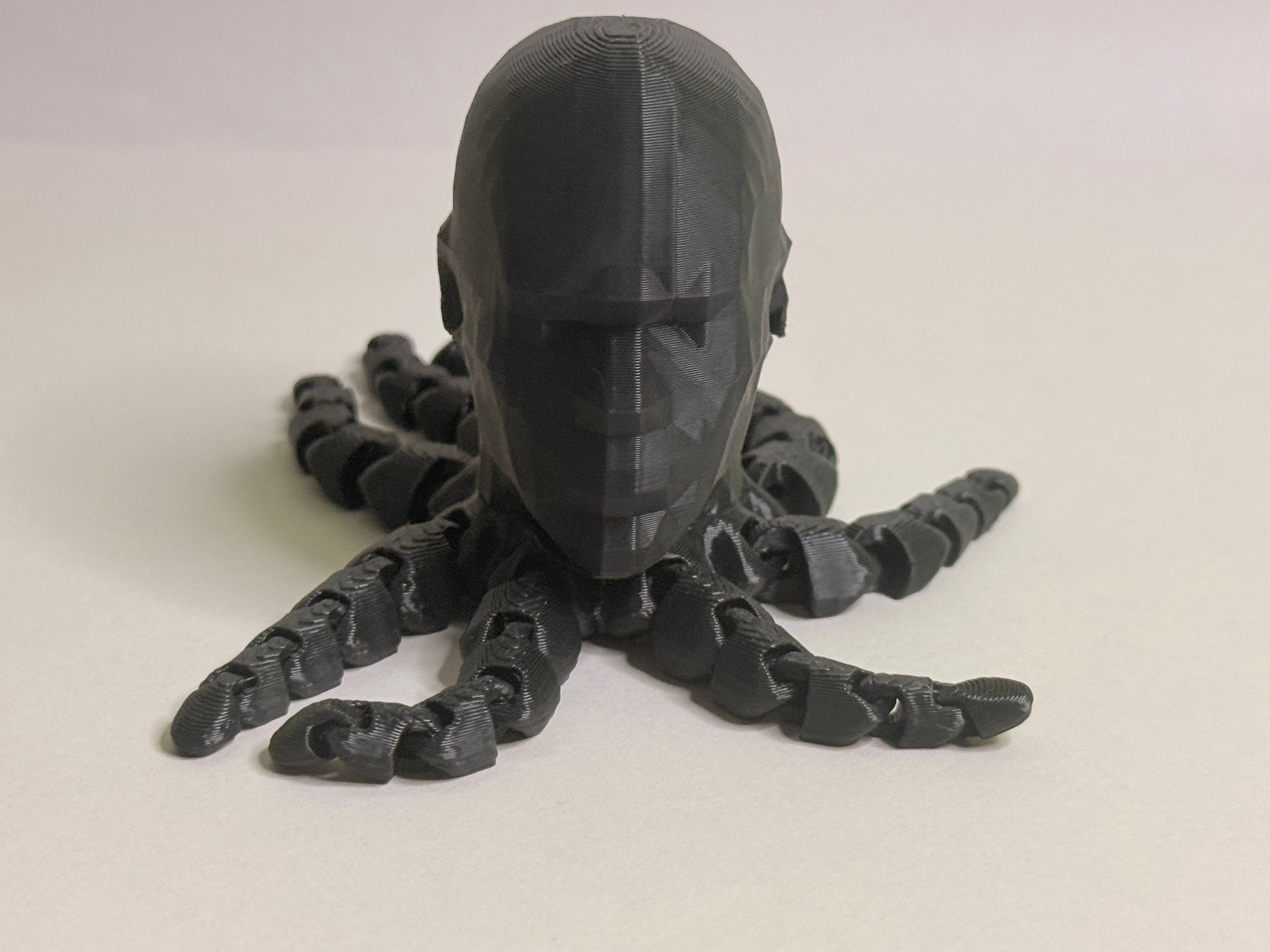 Michael Jordan Octopus