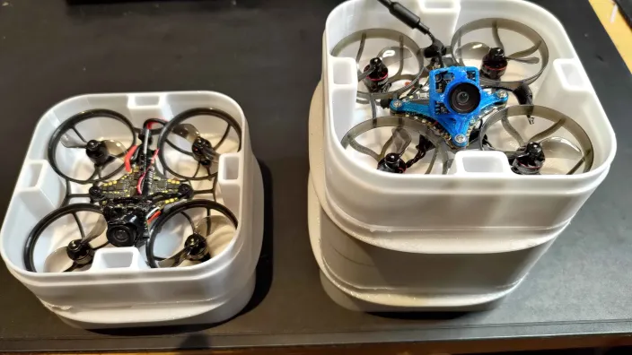 Adapted Tiny whoop Inductrix Case