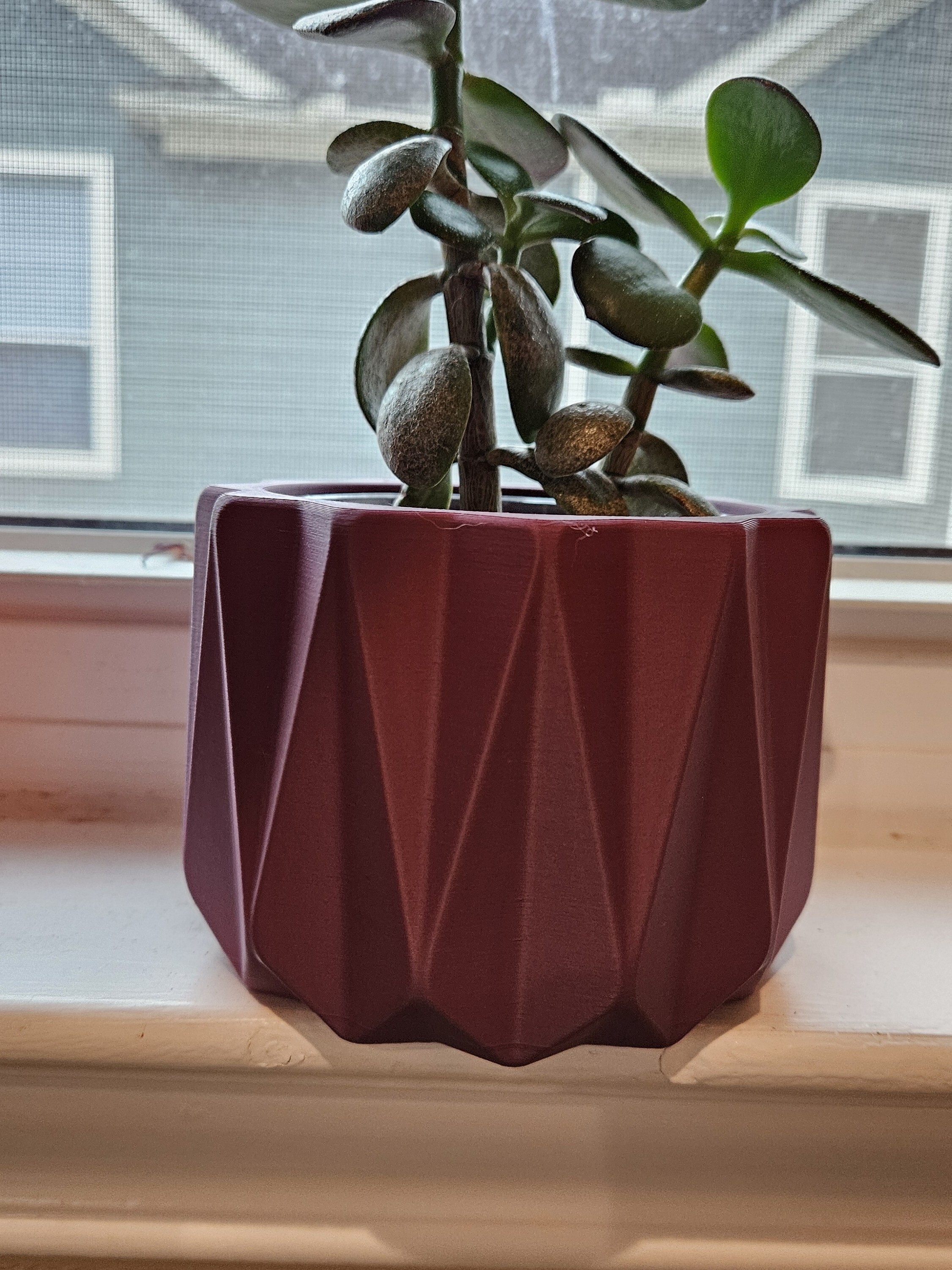 Geometric Flower Pot
