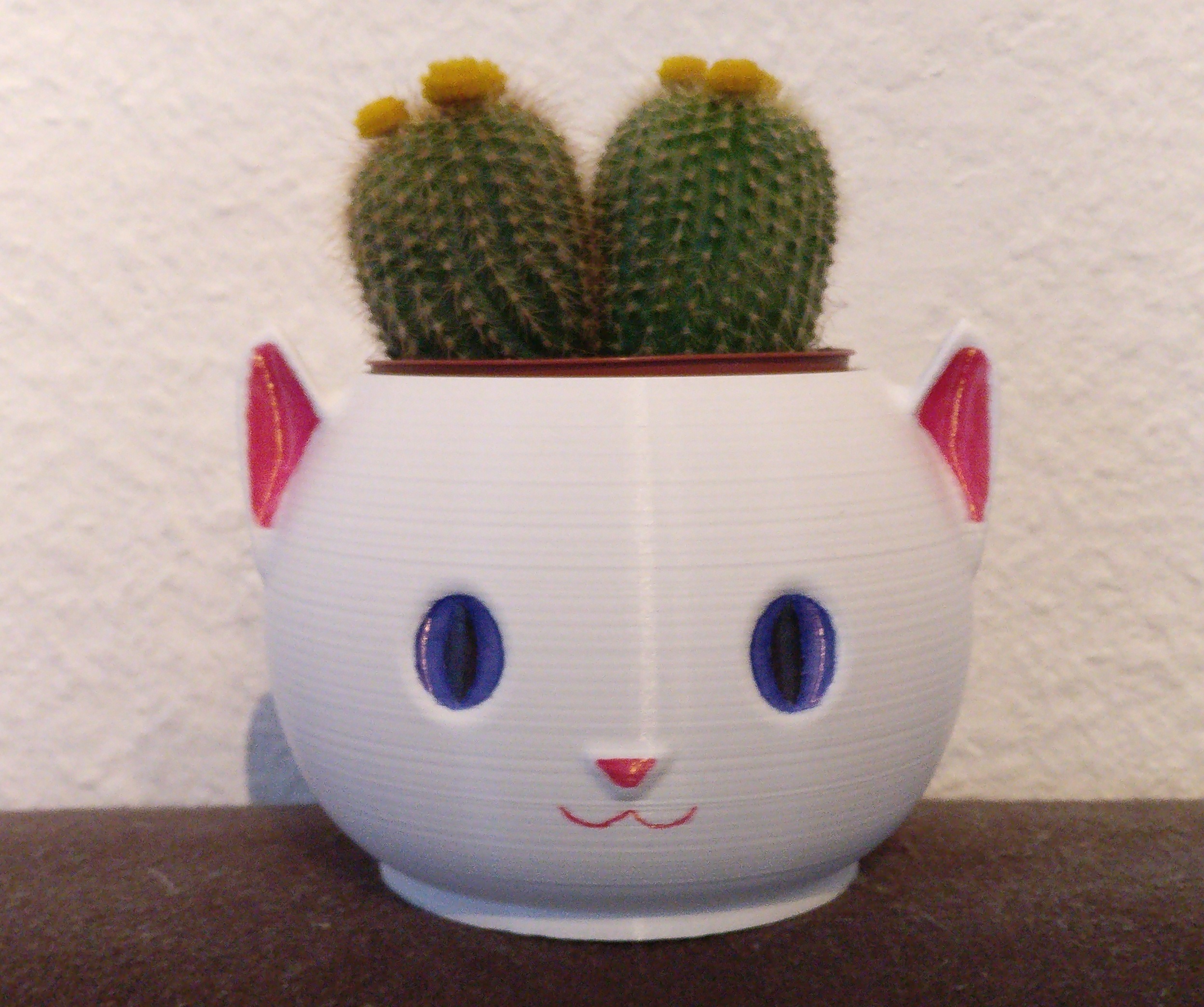 Cat Planter without Supports