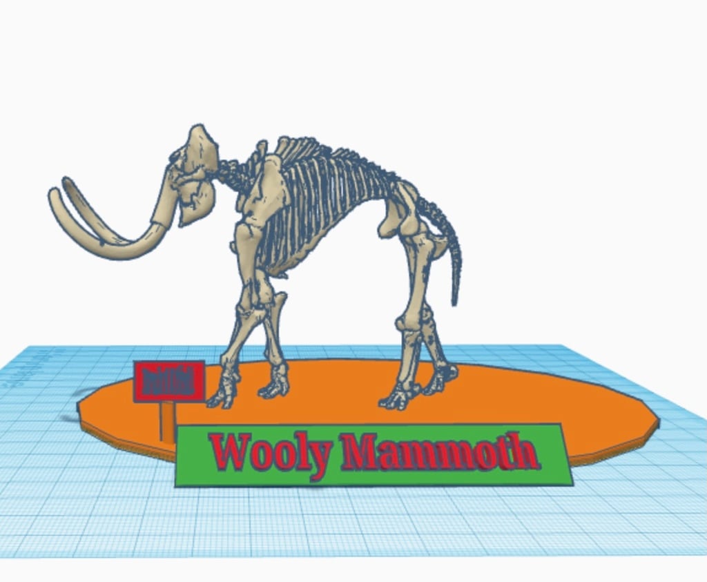 Skeleton Woolly Mammoth Exhibit
