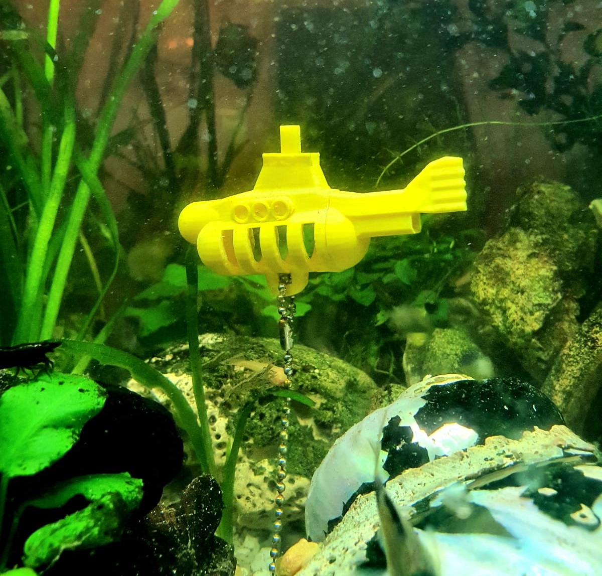 Fish/Shrimp feeder