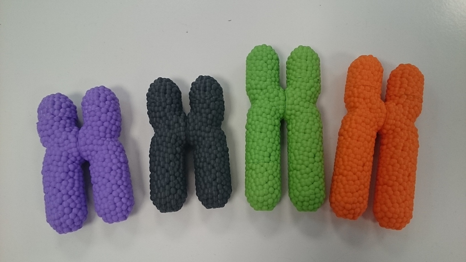 Chromosomes aimantés - Magnetic chromosomes