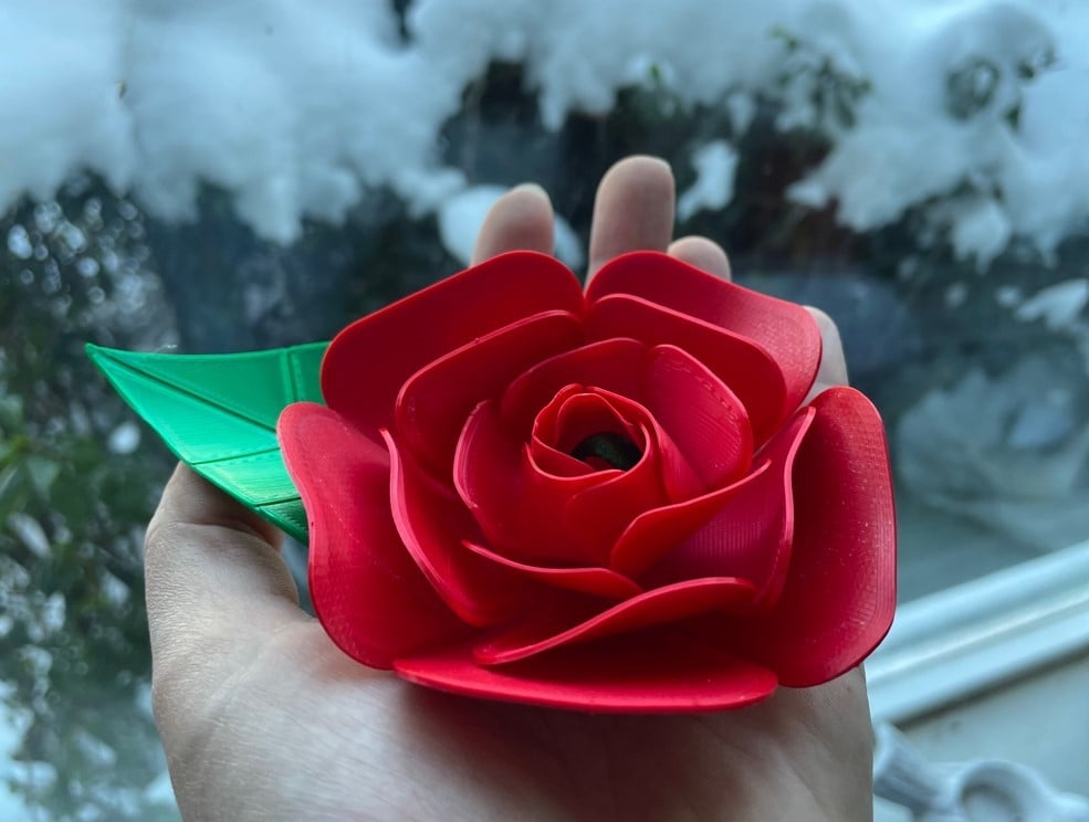 Rose (printed flat)