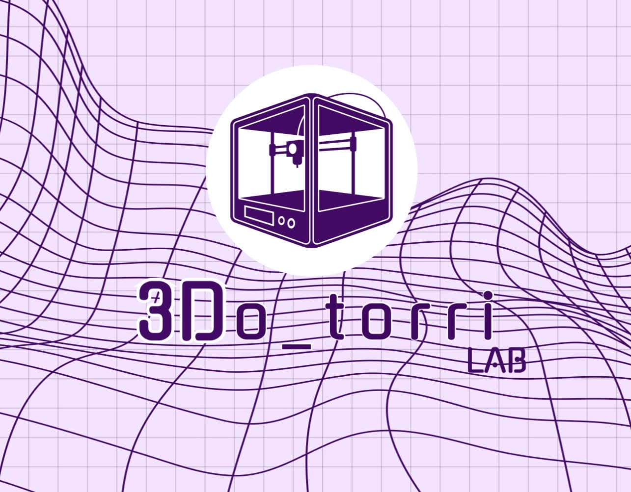 3D_torriLab