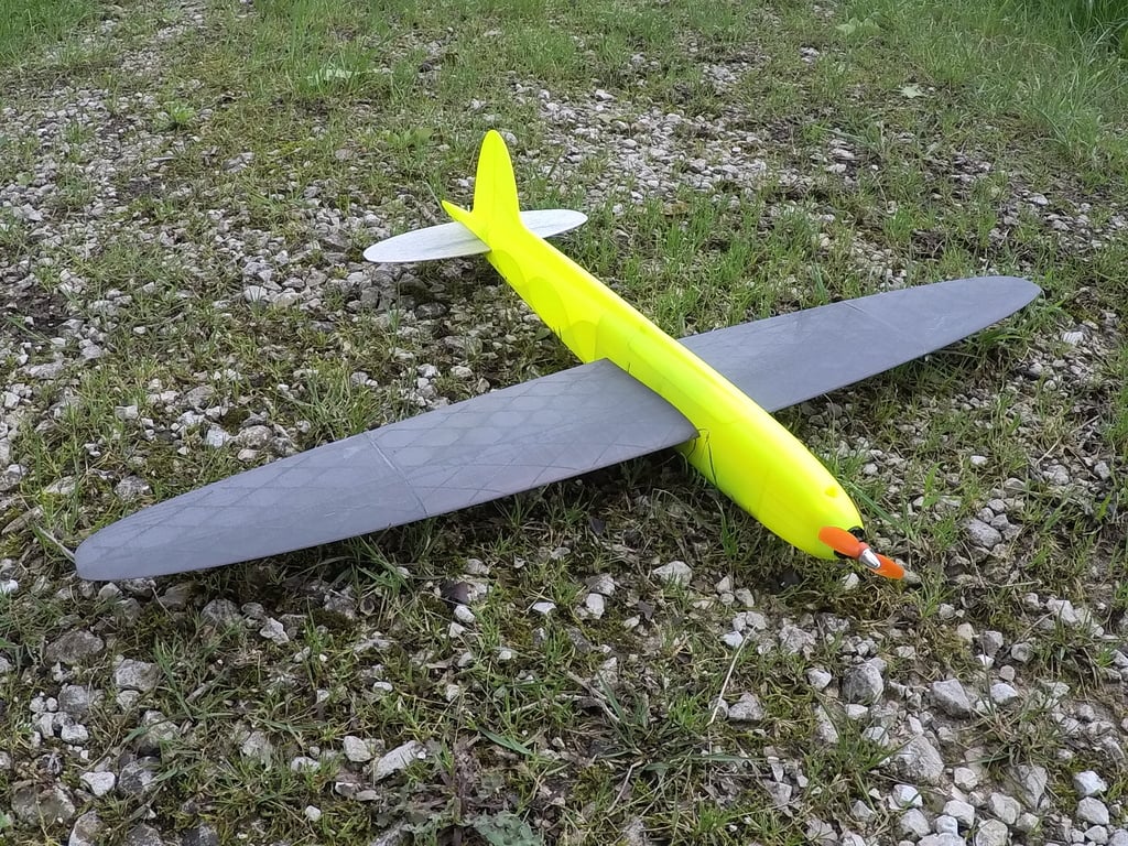 Capra R20 - RC Racer / Glider