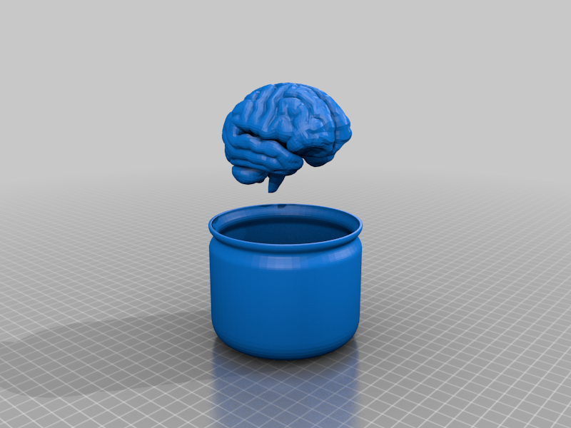 Brain In Jar