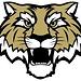 Lebanon Tigers 3D model