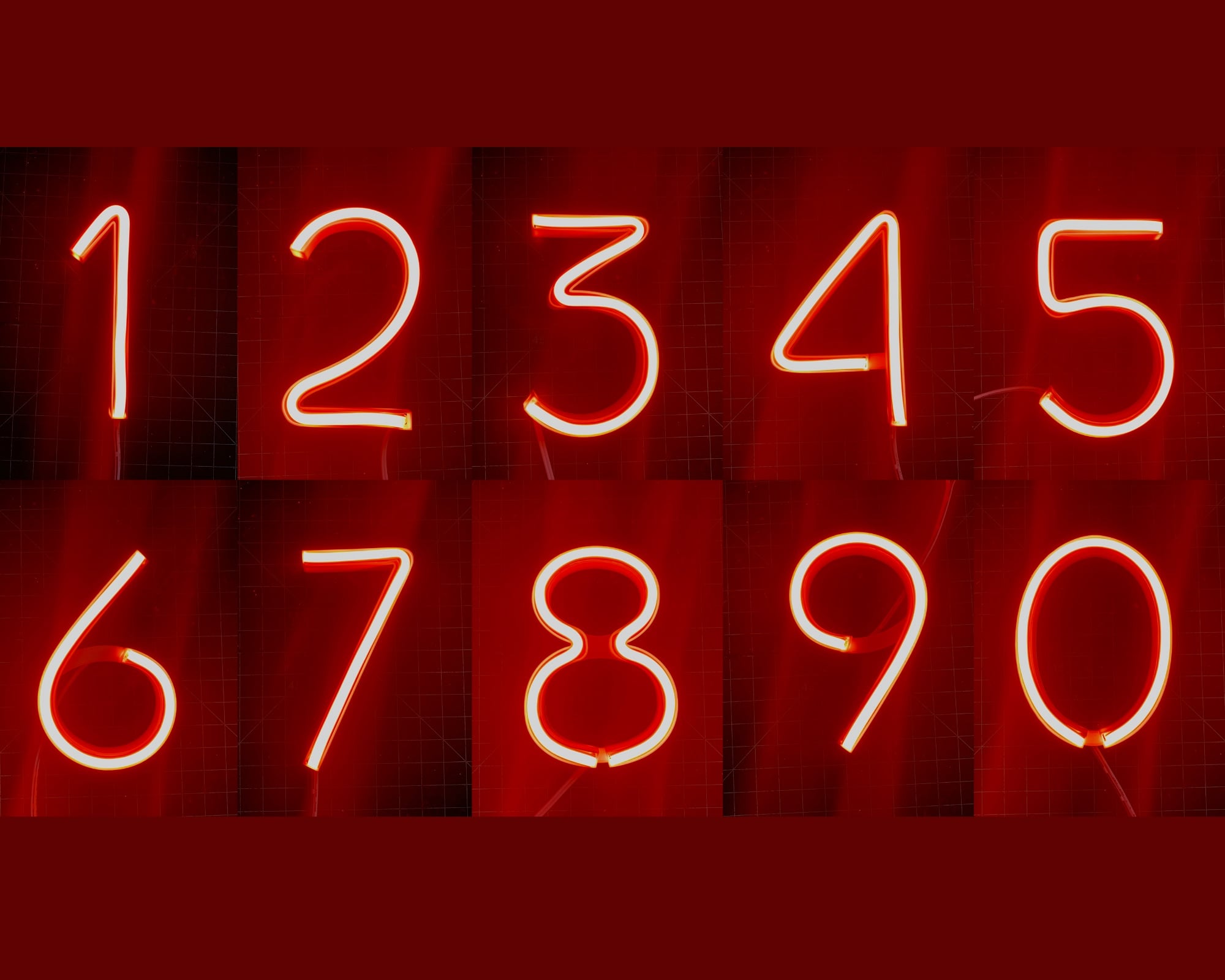 Neon Flex Number Shells