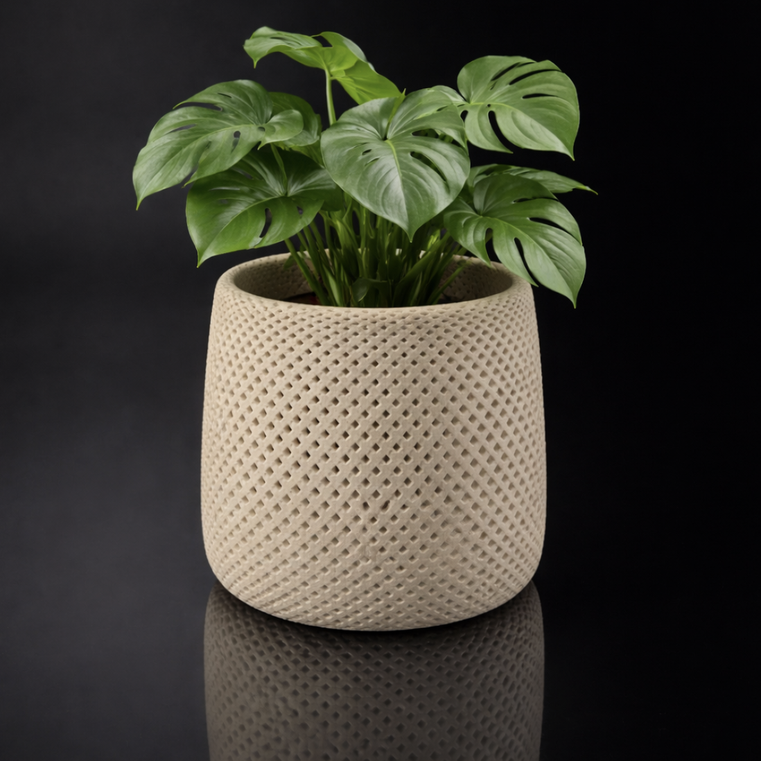 Pot de fleurs