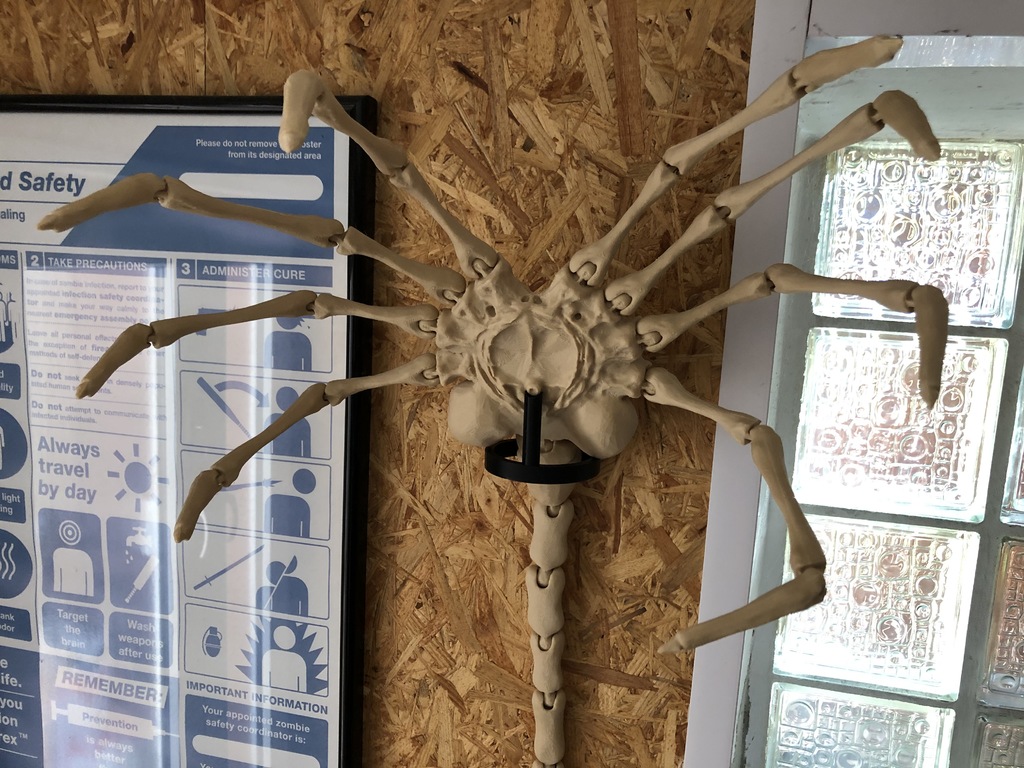 Simple Wall Mount for Agisis Ultimate Alien Face Hugger