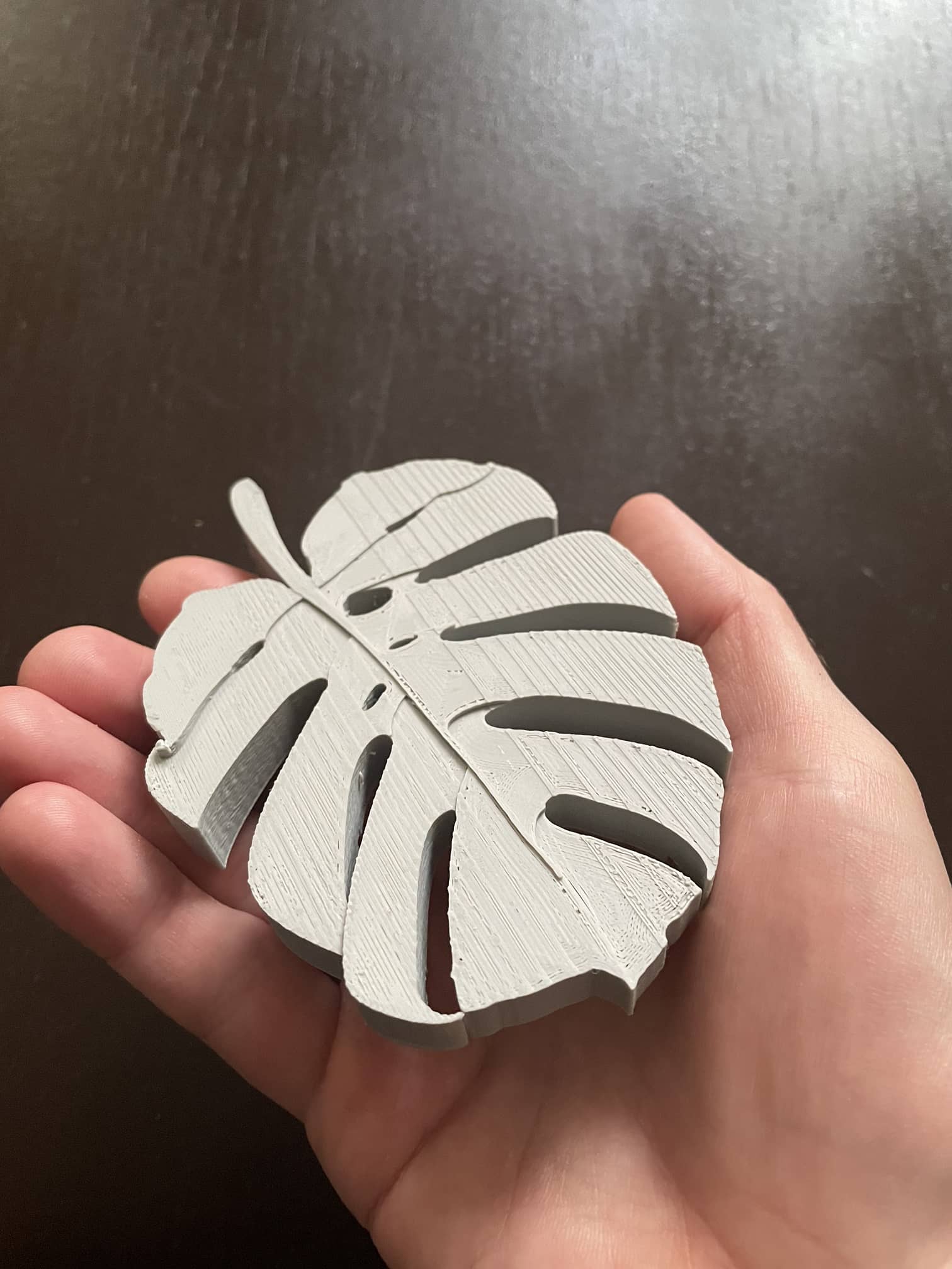 Monstera leaf soap dish