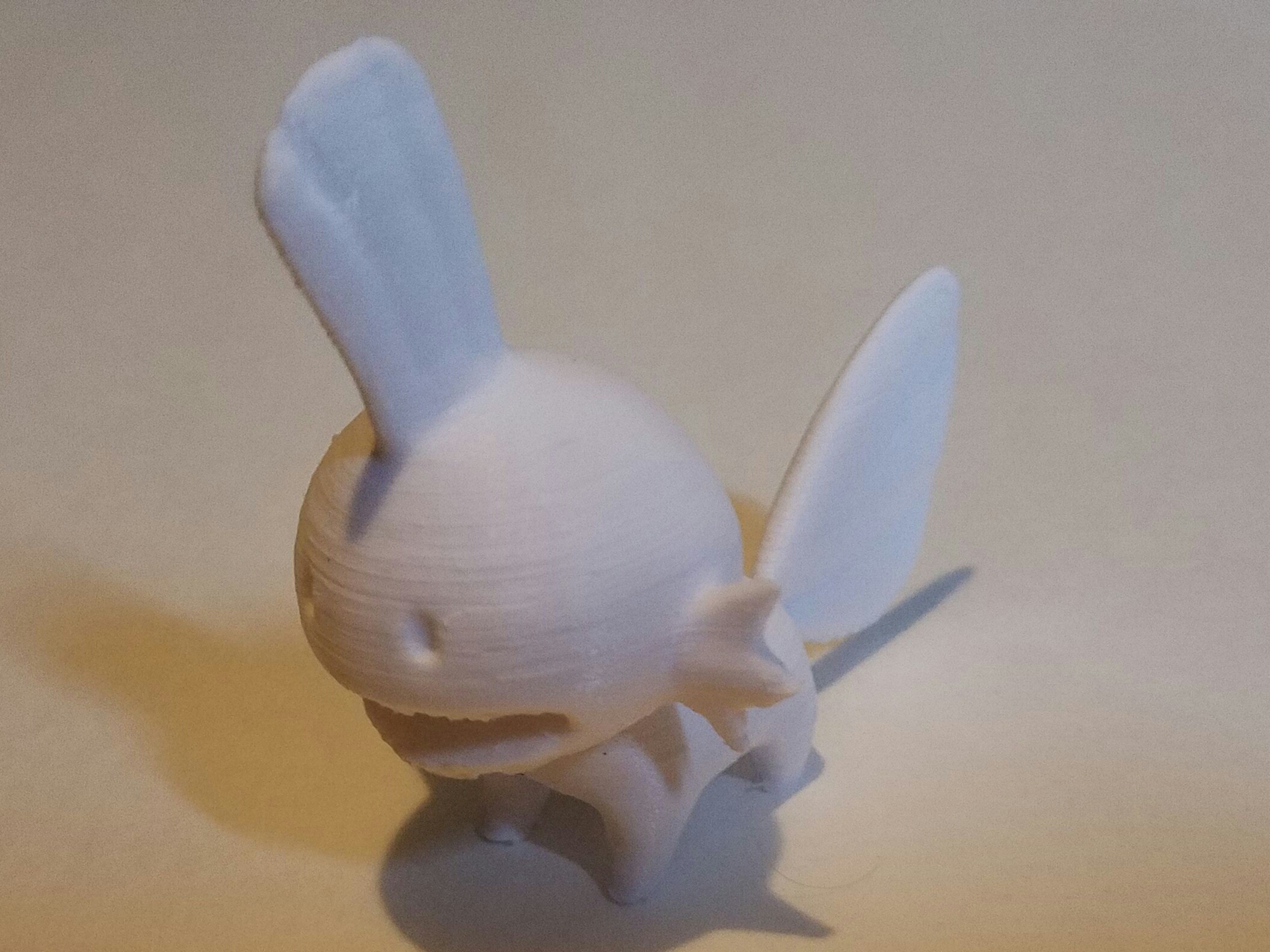 Mudkip!