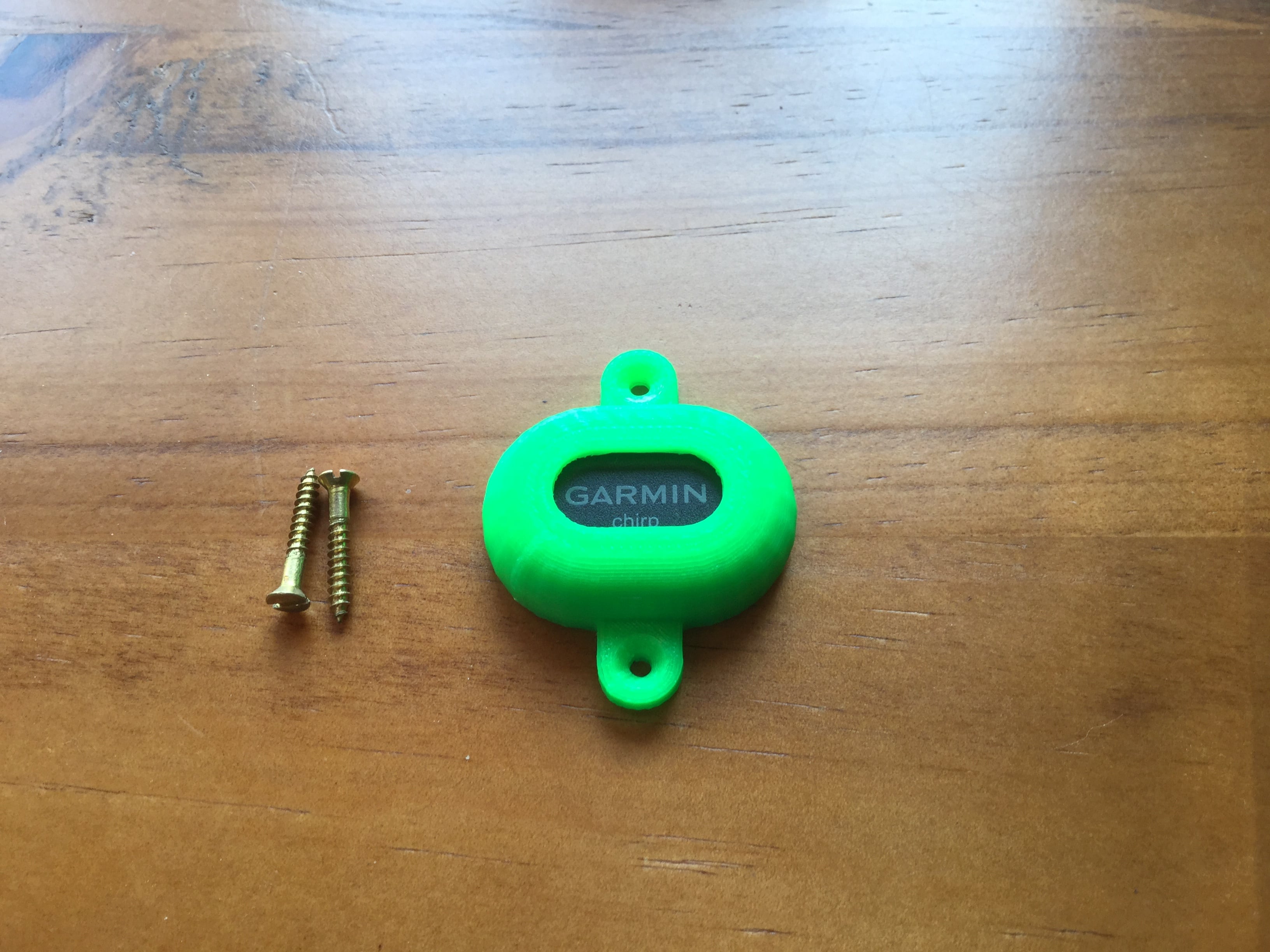 Garmin Chirp geocaching mount