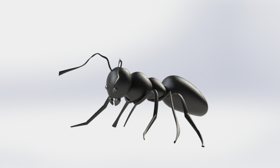 Image of An Ant 3D Model 