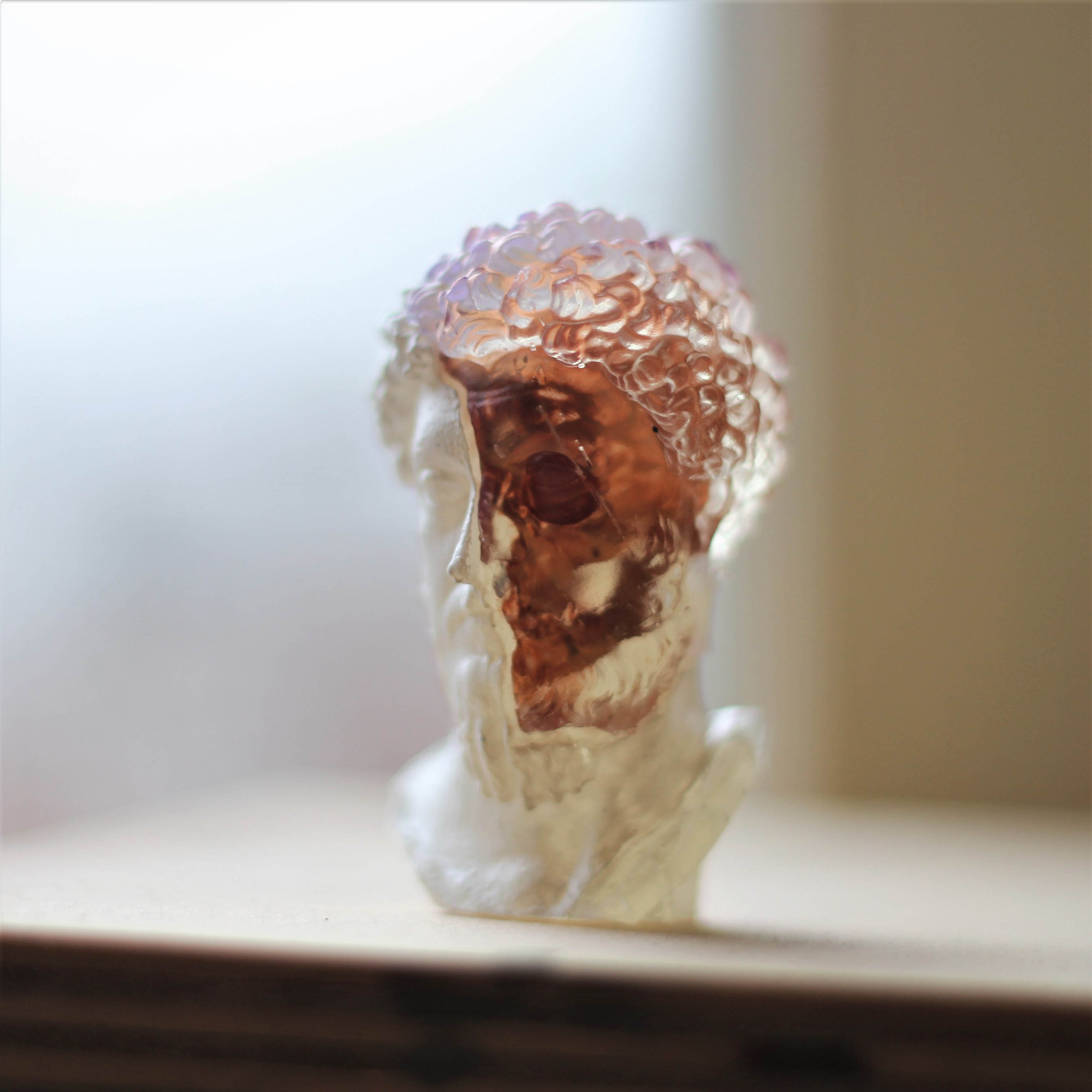 Marcus Aurelius skull bust