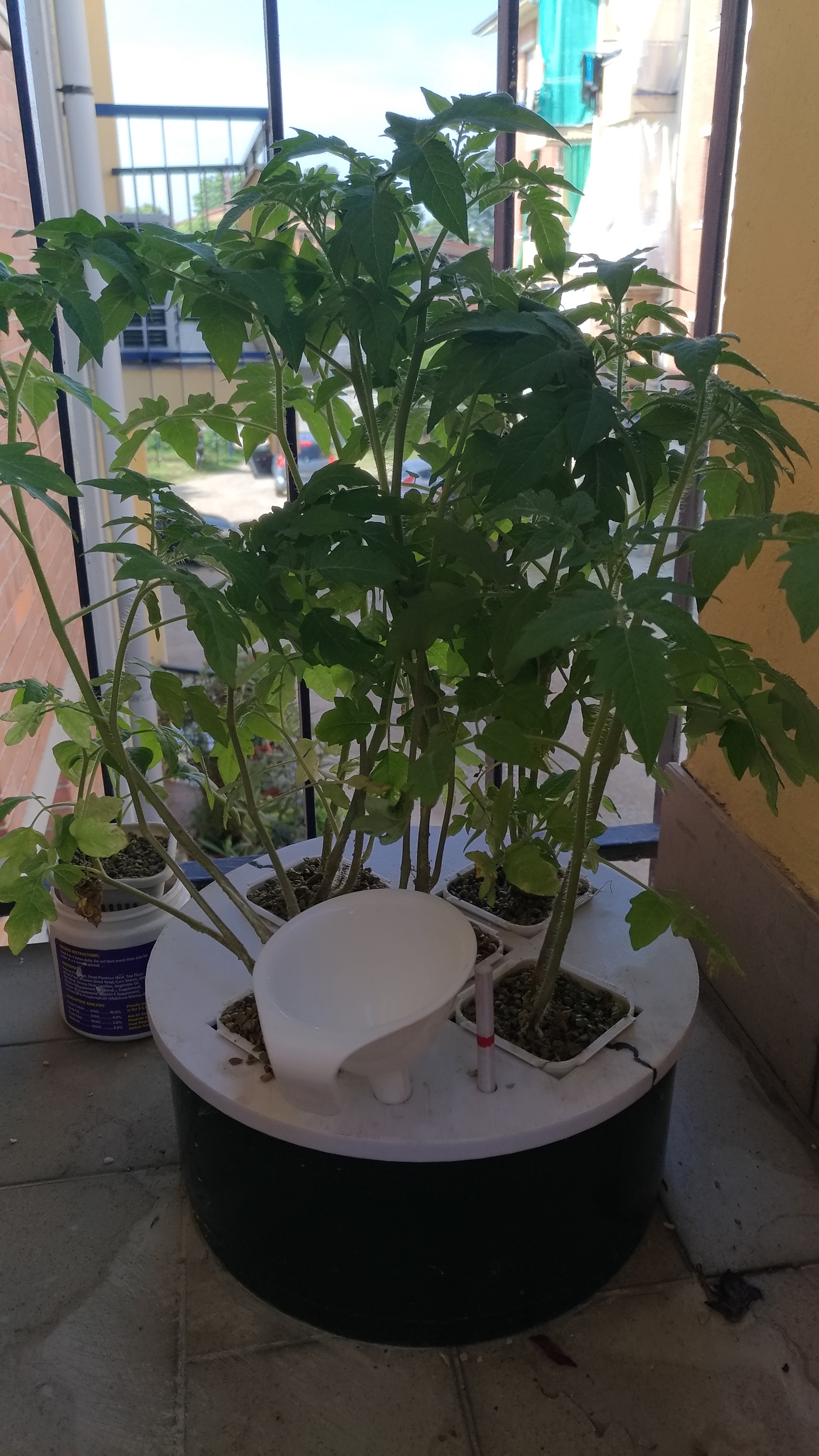 DIY Hydroponic System with can