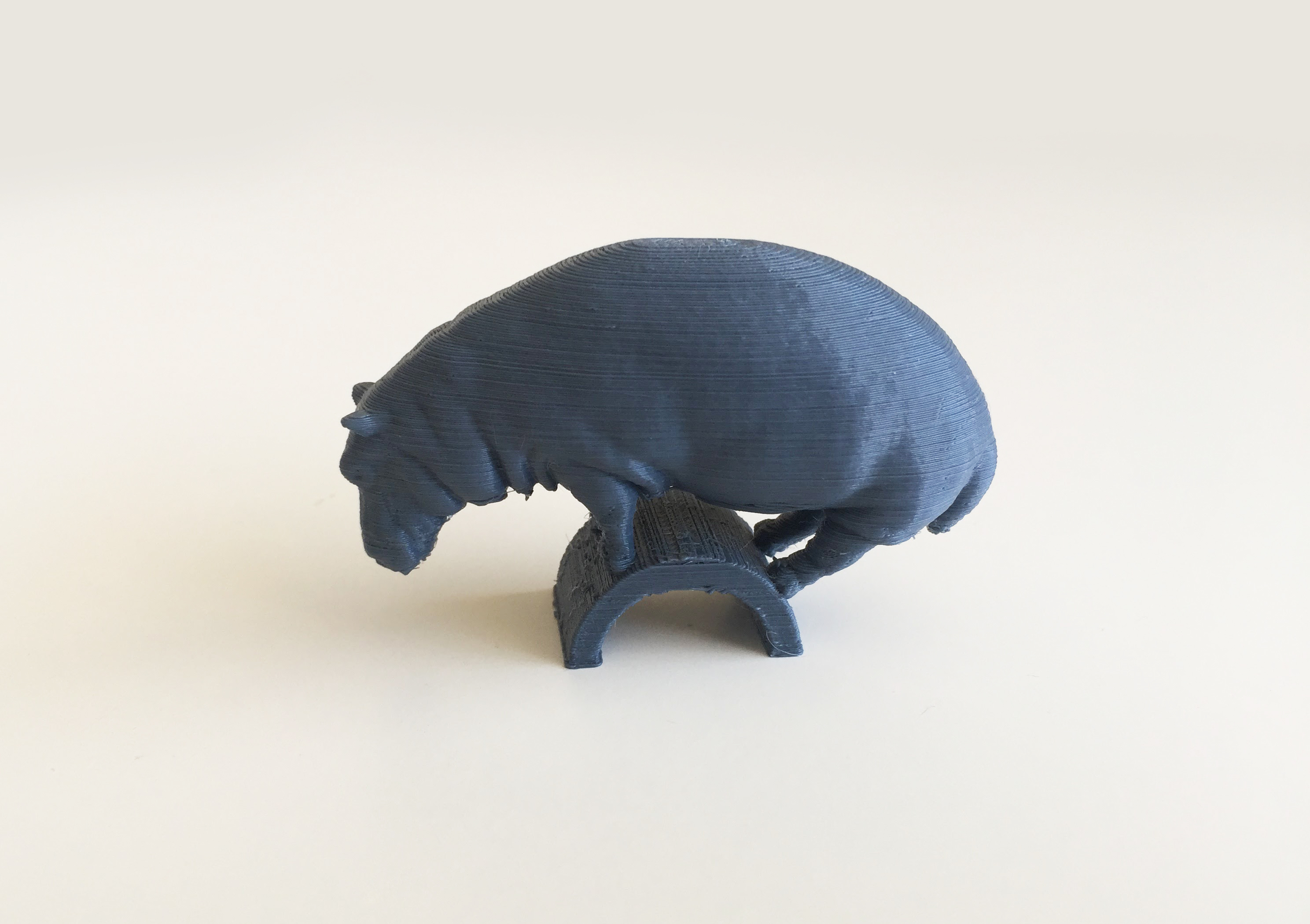 Hippo