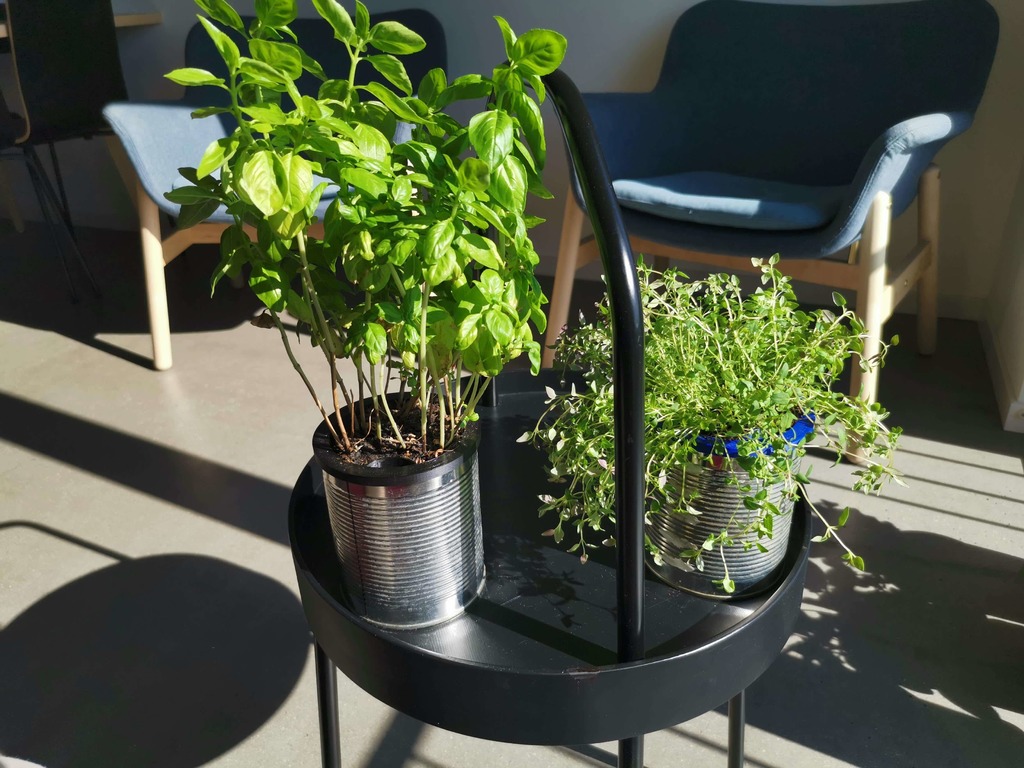 Smart self-watering plant system in a 800g metal can from the supermarket