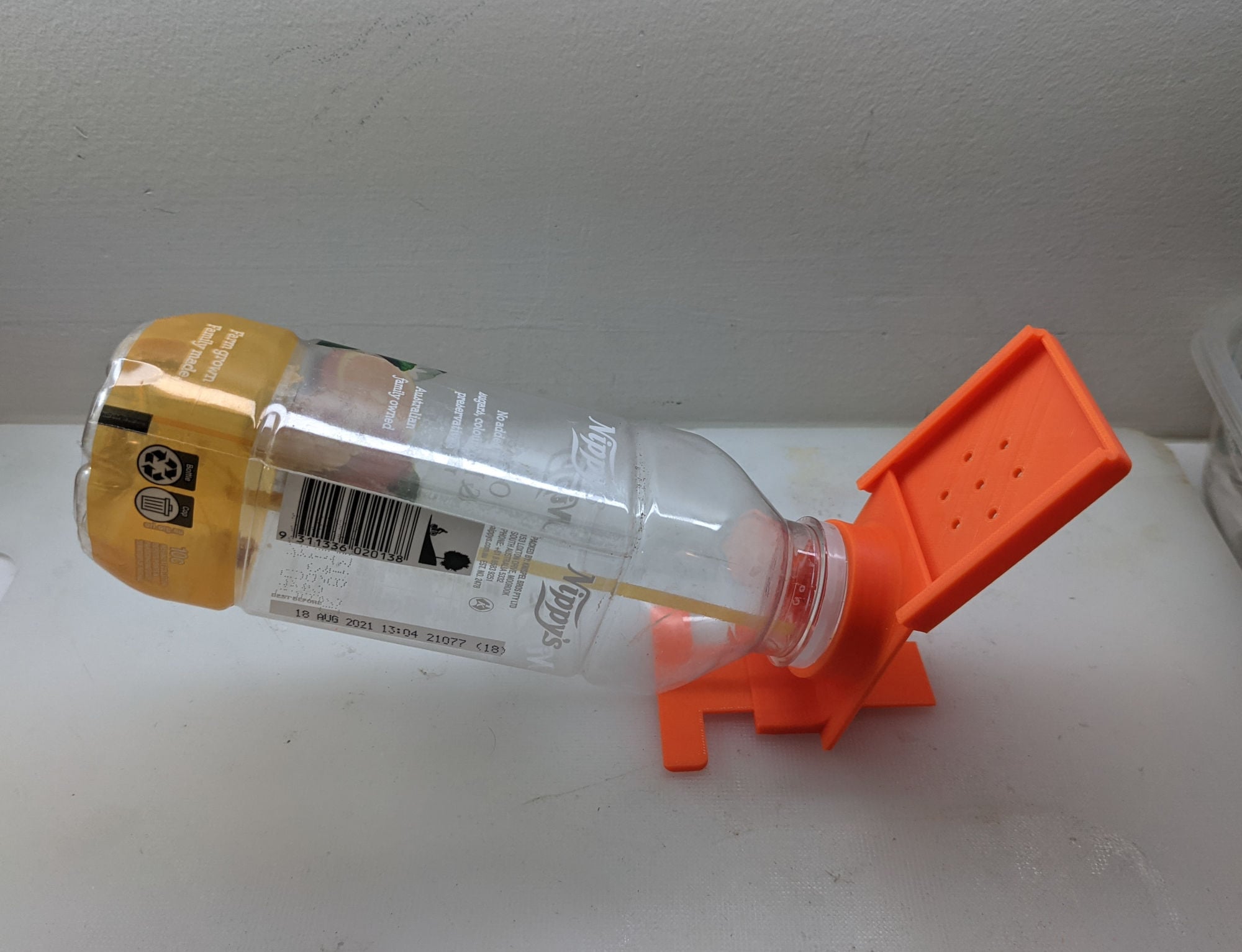 Bottle mouse trap