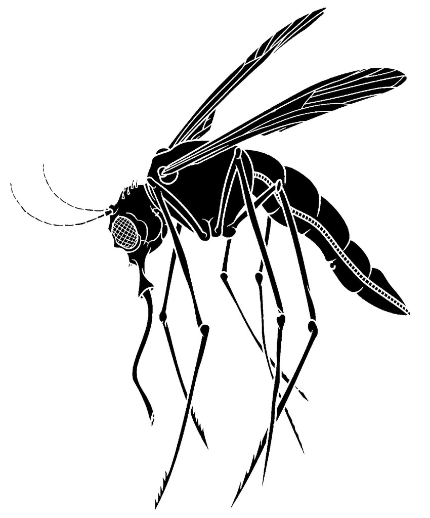 Mosquito stencil