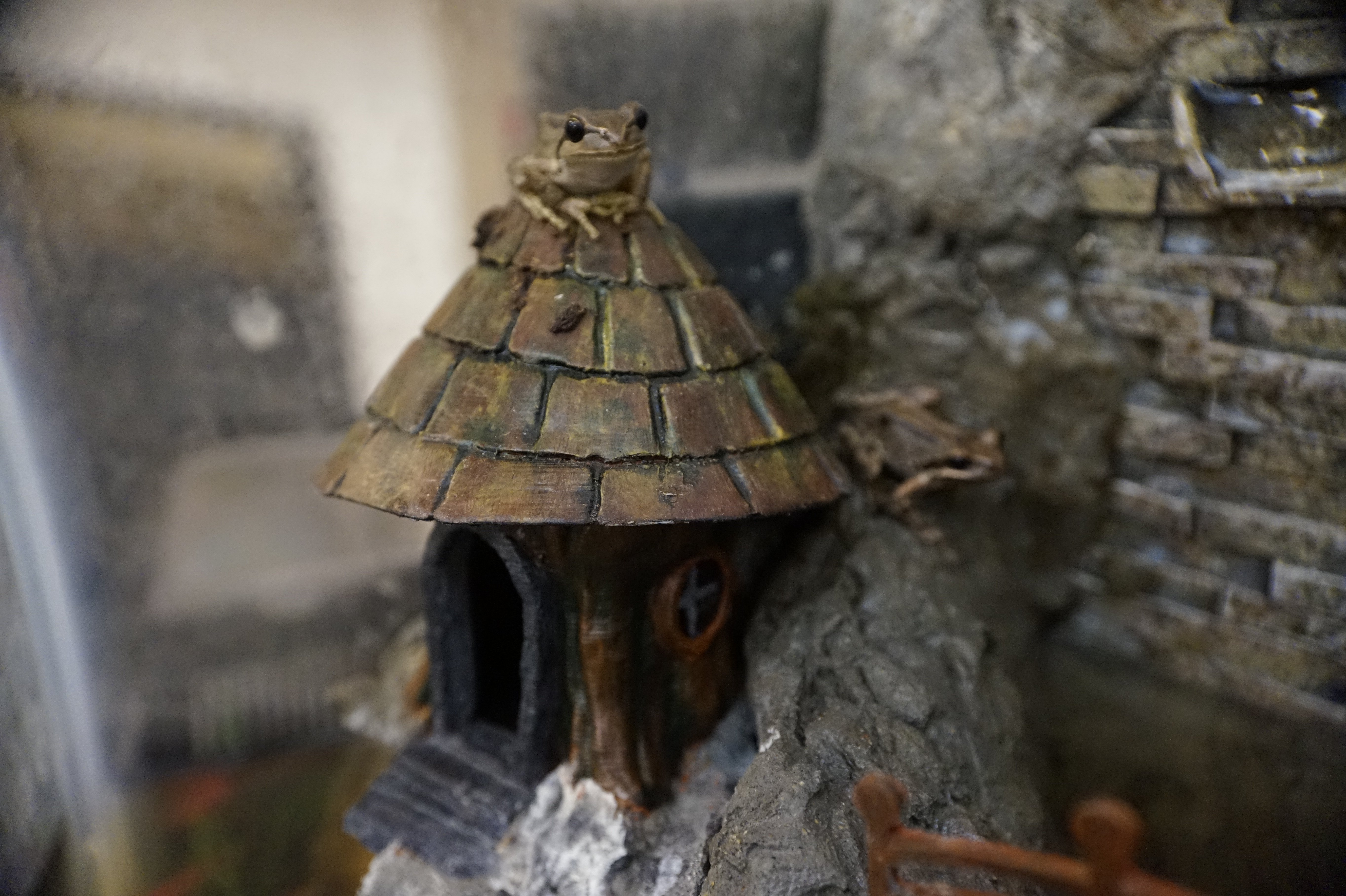 Frog Hut