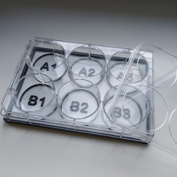6-well plate holder with labels