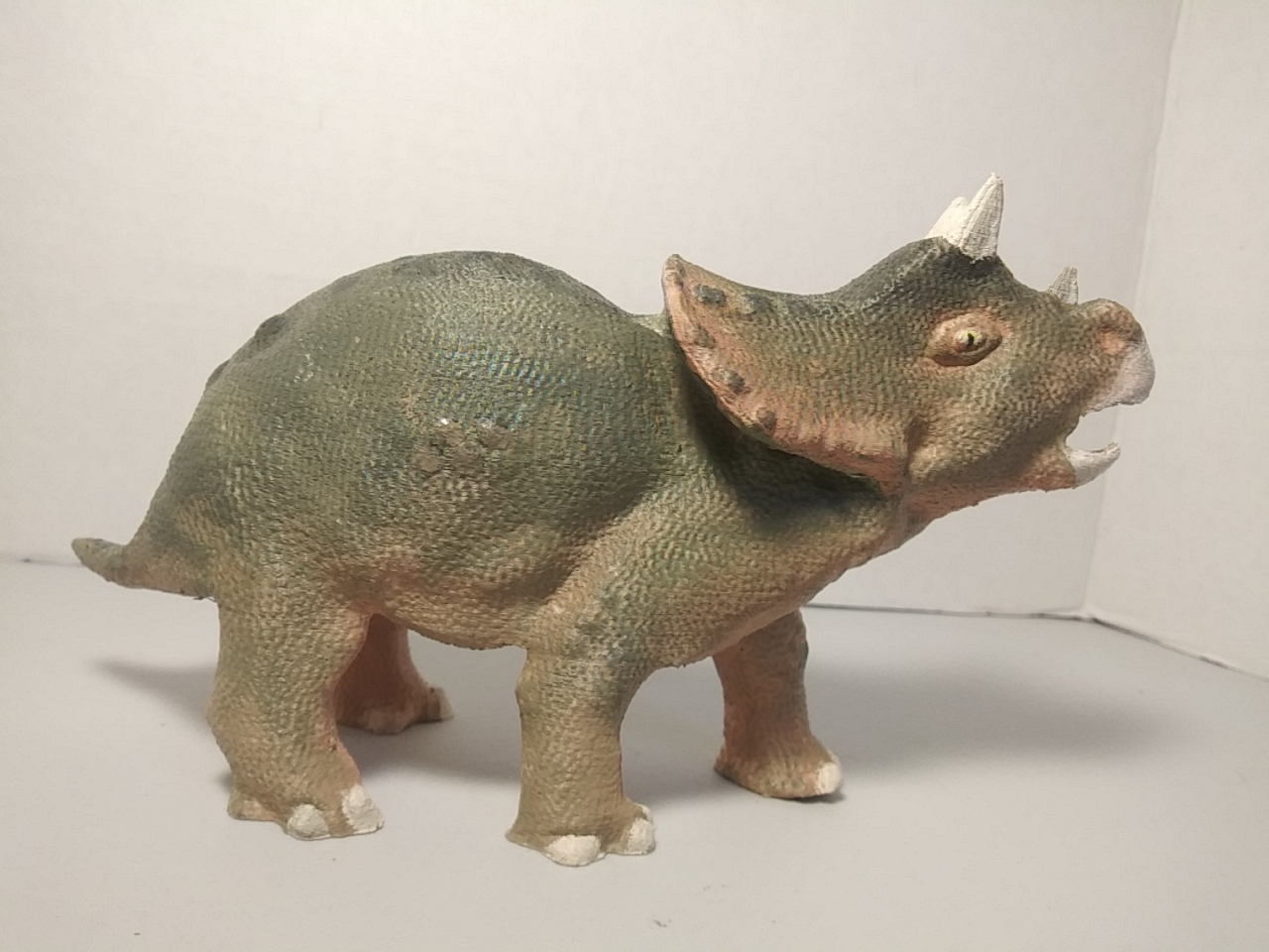 Image of Baby Triceratops