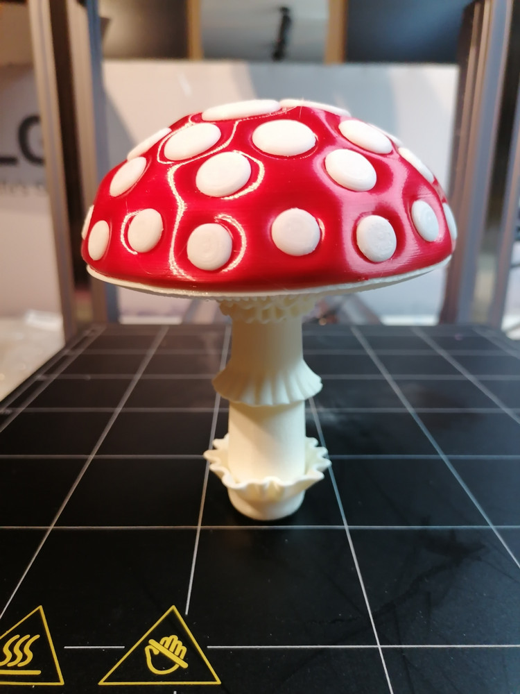 Toadstool