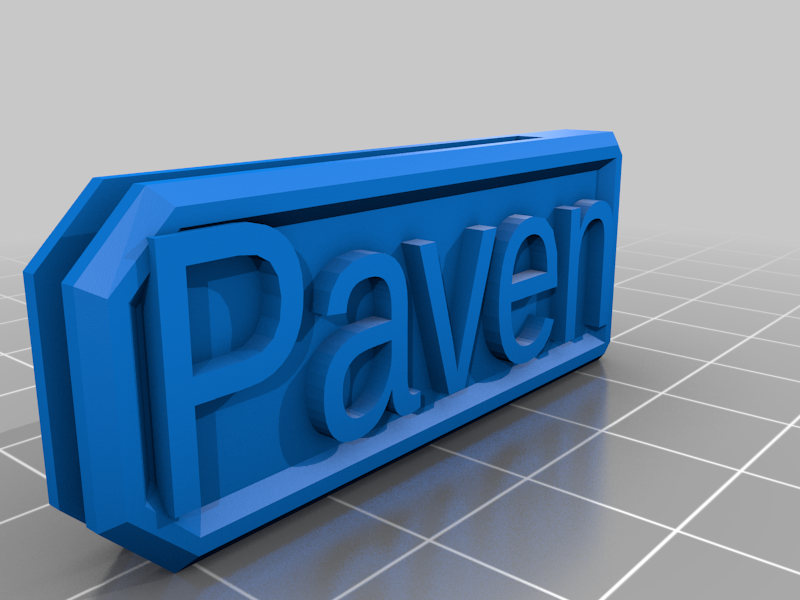 My Customized Tabletop RPG Initiative Marker - Paven