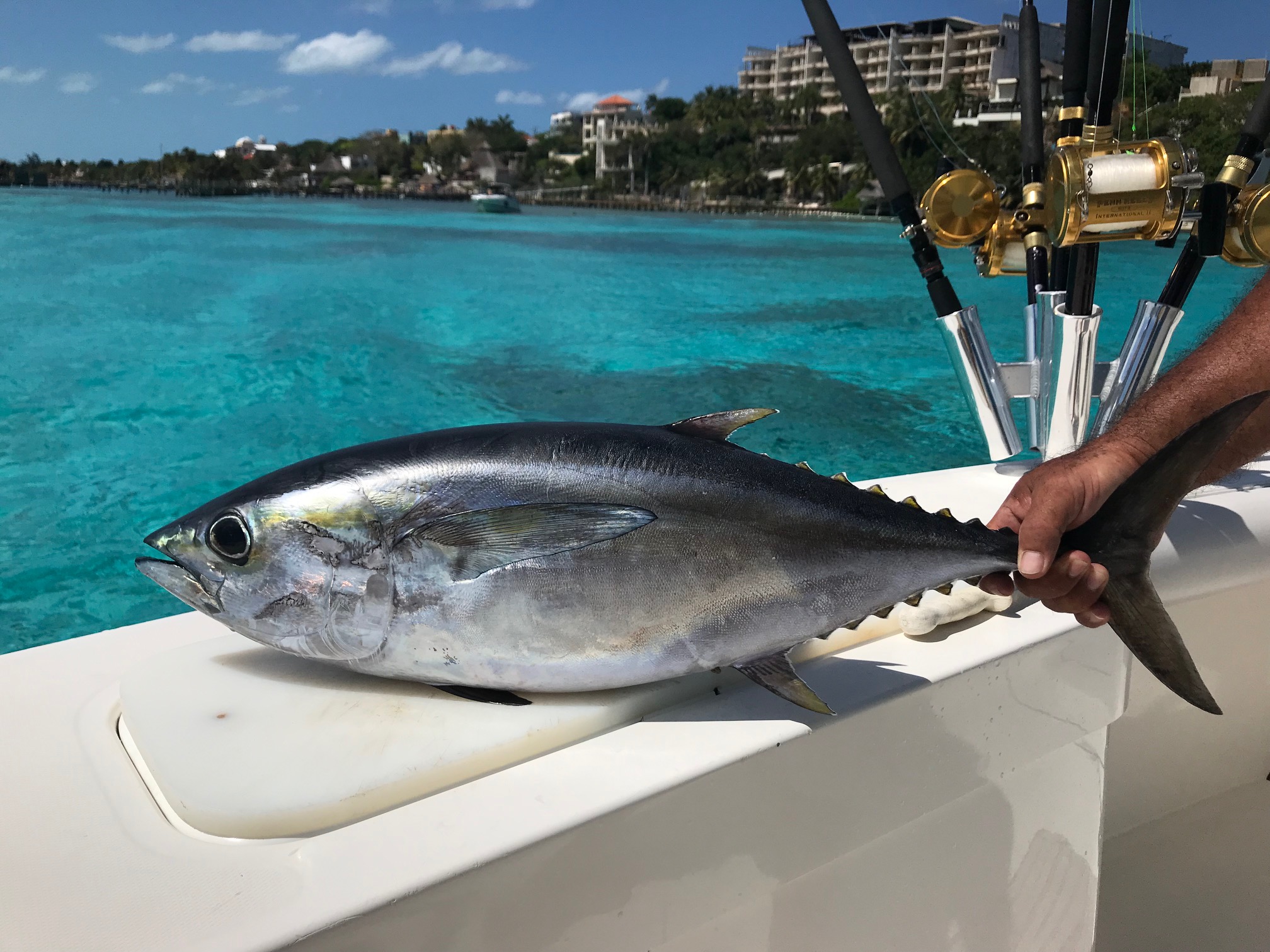 Saltwater Fishing Lure