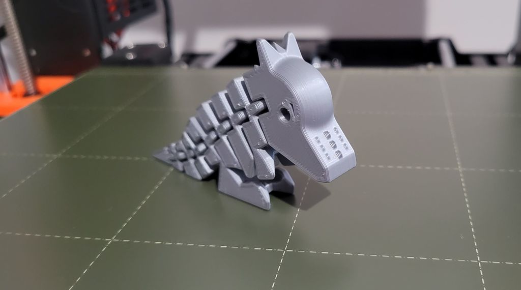Flexi-pachy 3D model