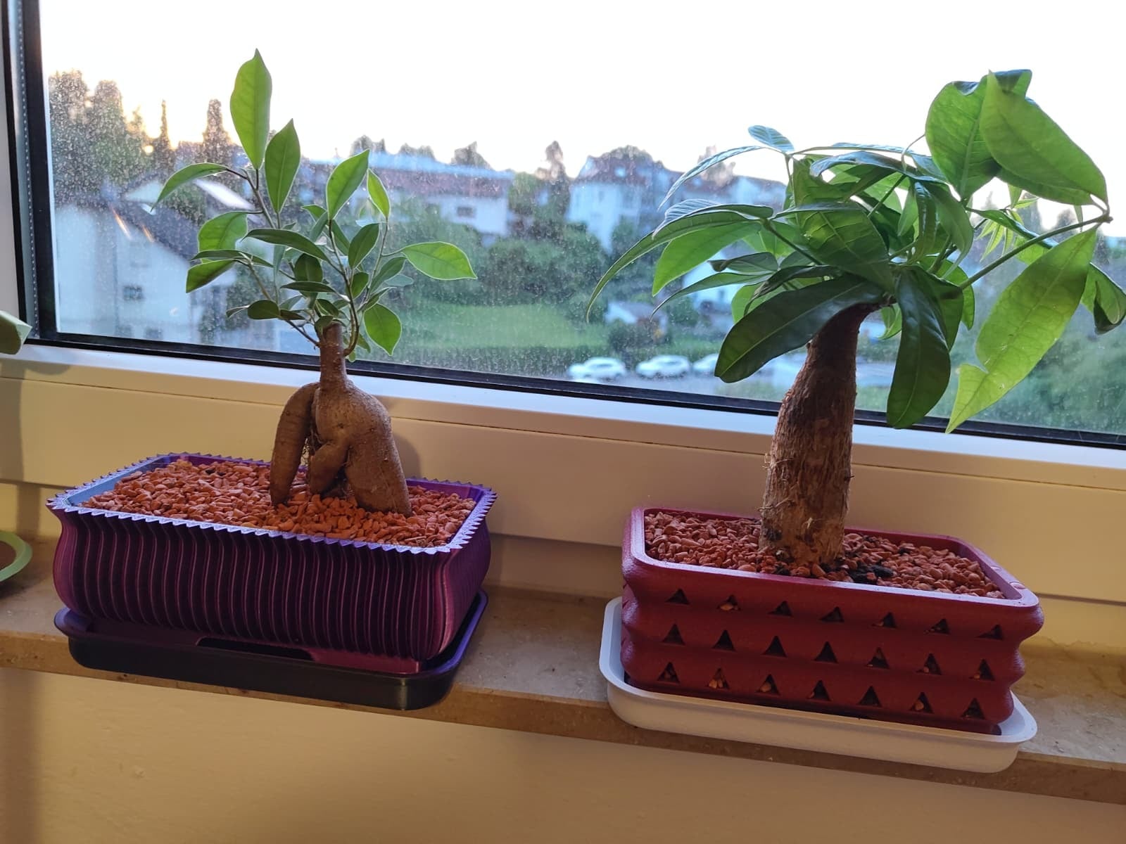 Bonsai Vase – Air Pruning Planter & Spiky Planter