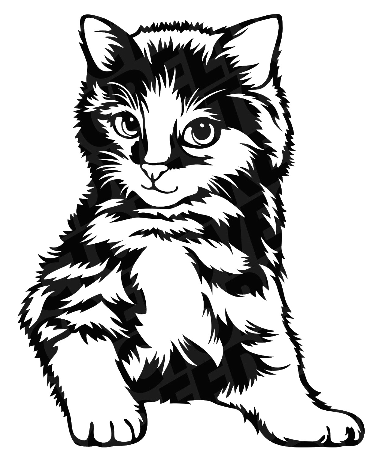 2D Cat