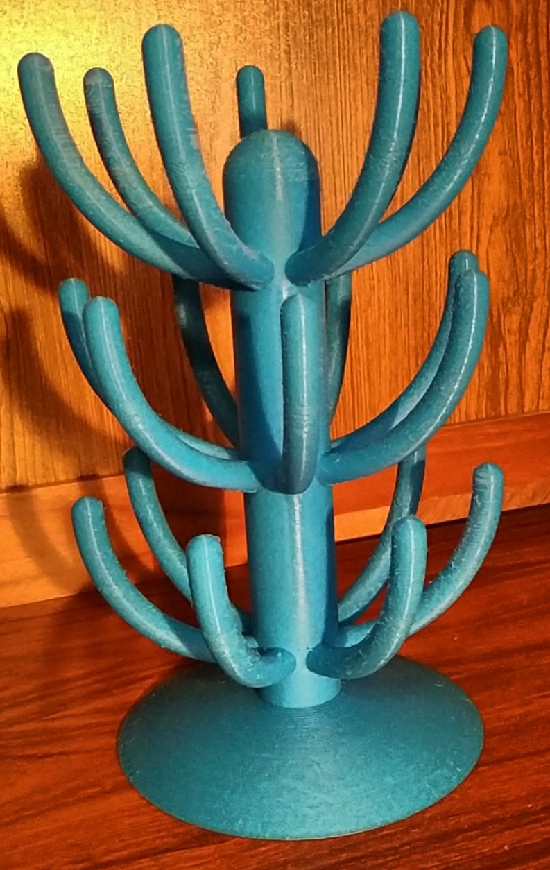 Cactus1