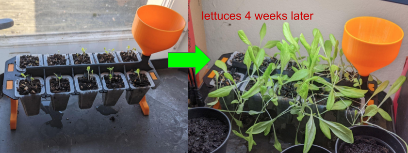 Quick-pot / seeding planter with integrated watering system