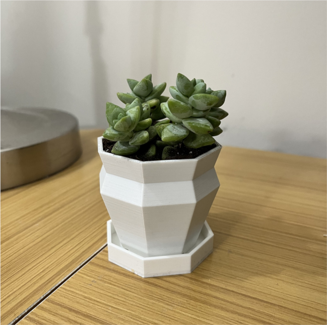 Small succulent pot