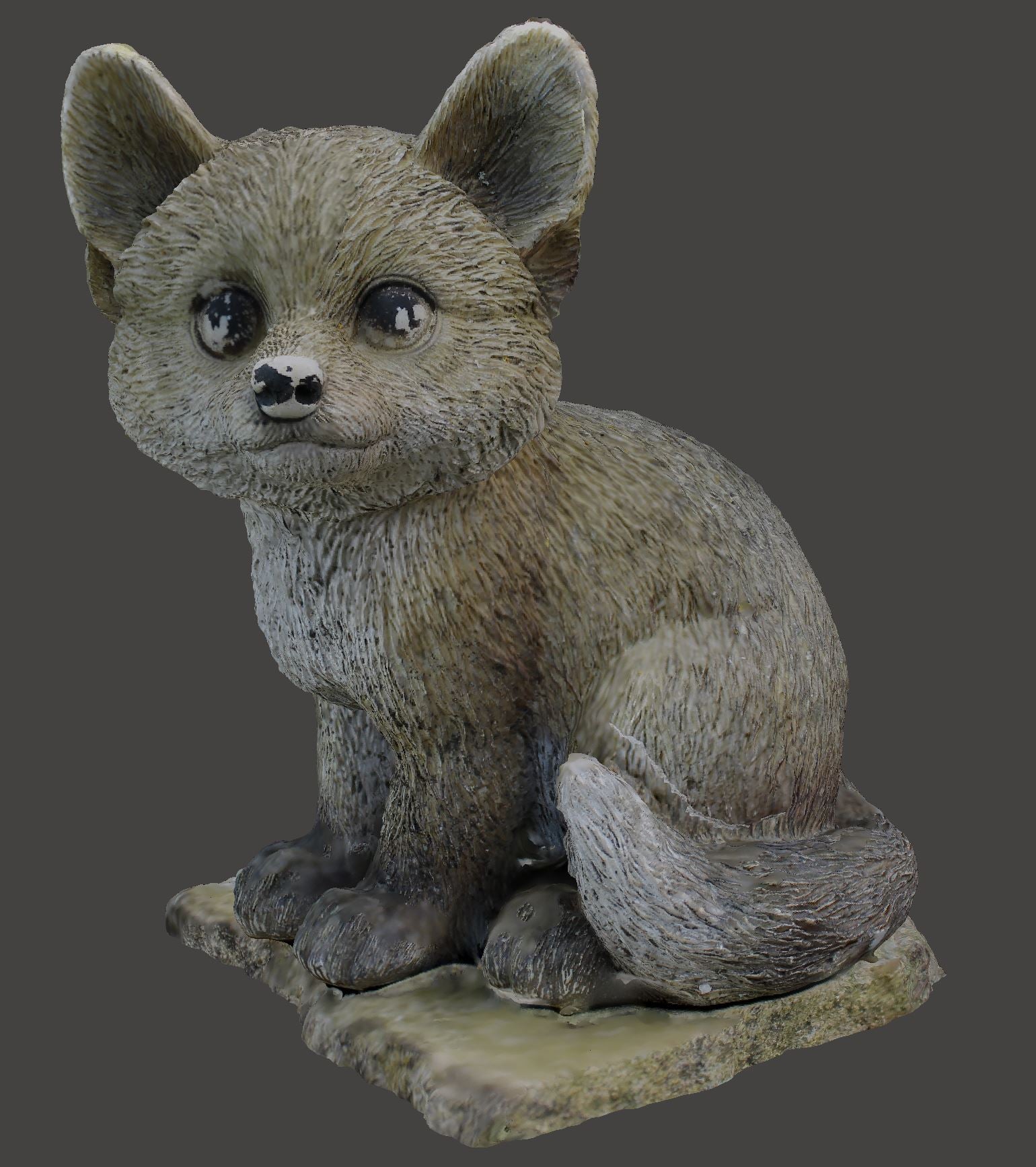 Fox Scan