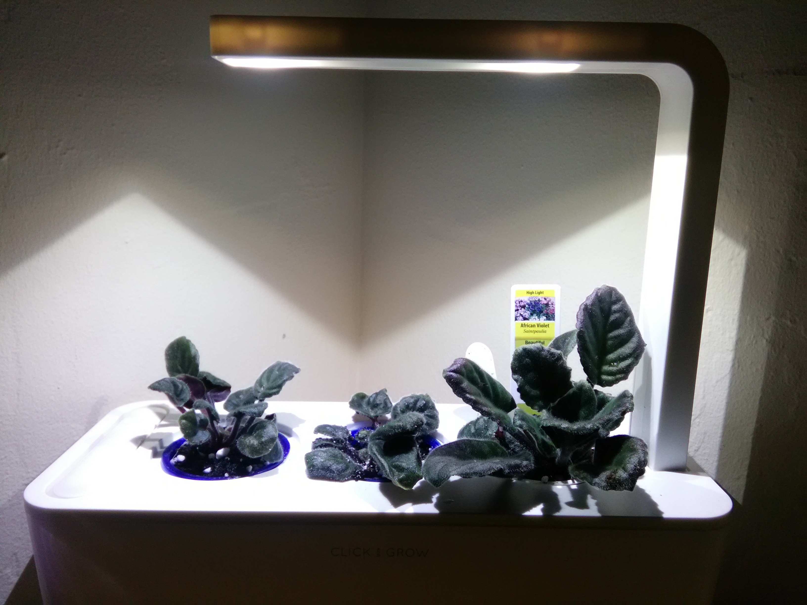 Click And Grow(TM) Planter