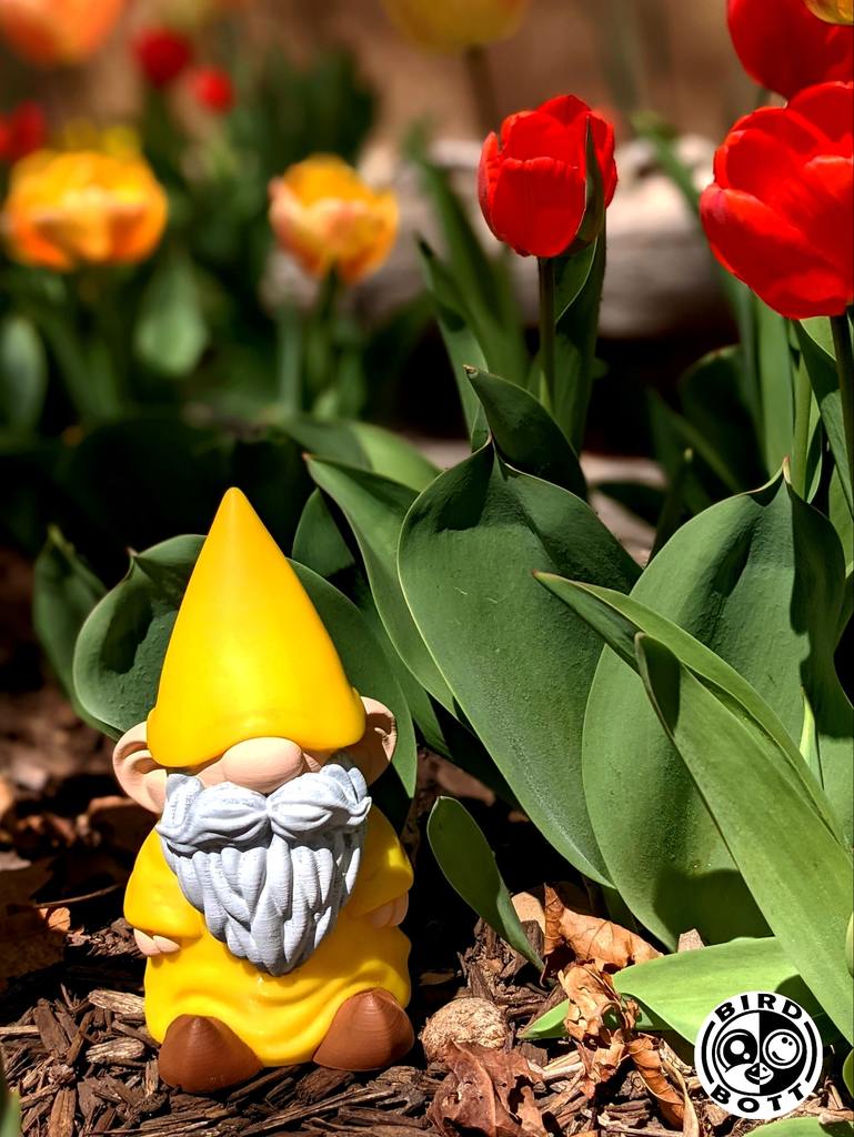 Gus the Gnome