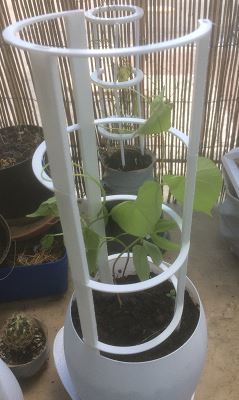 Plant support 10, 11 and 12 cm 3D model
