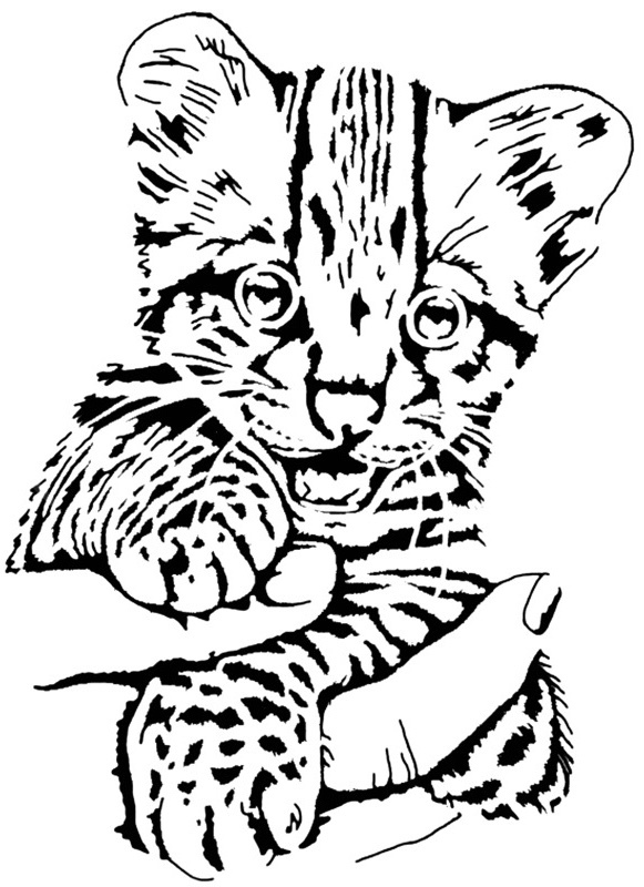 Tiger Cub stencil 3