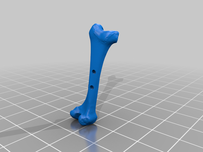 Bone Toggle Button