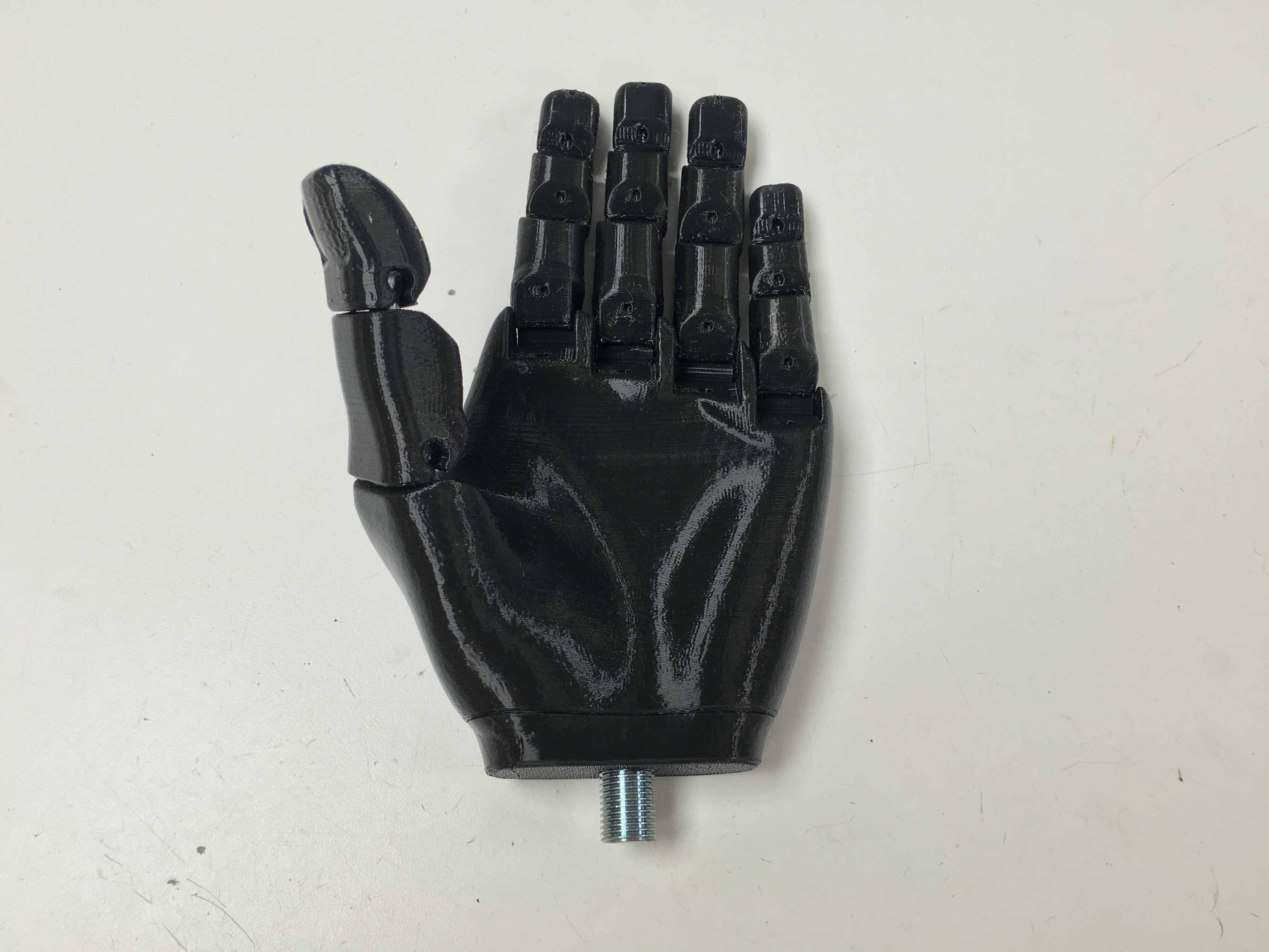 TD_Static Hand