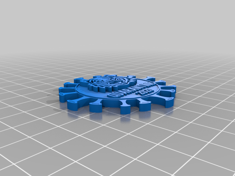 Tiger Quarantine 2020 Key Chain
