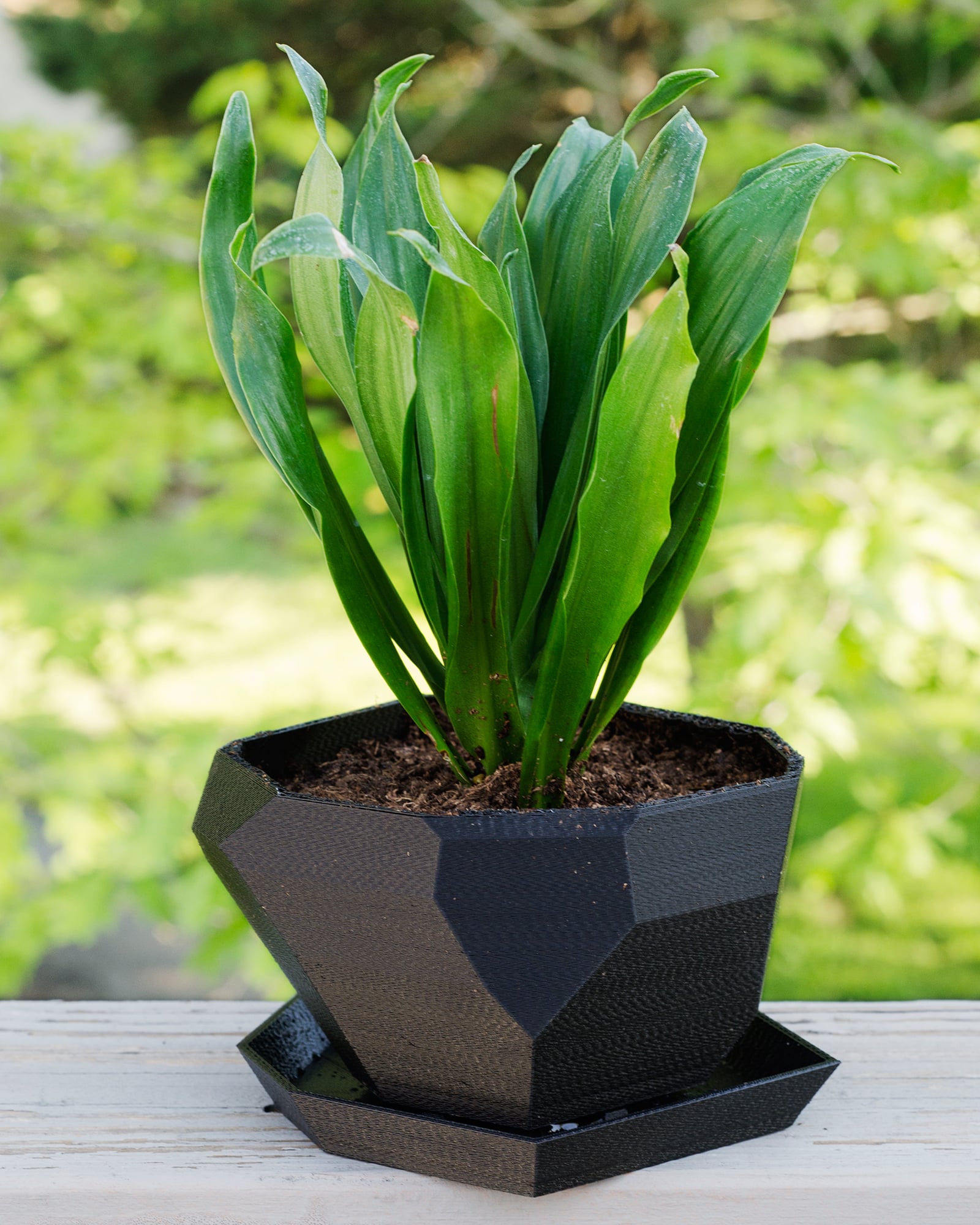 Low Poly Planter