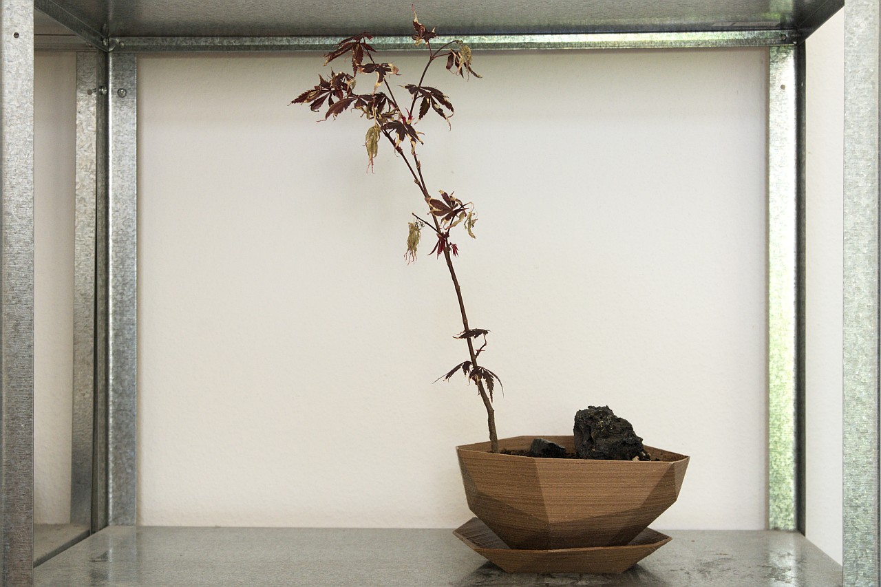 Planter #2